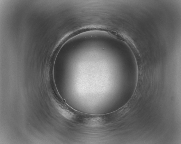 X0000080180108200612081411