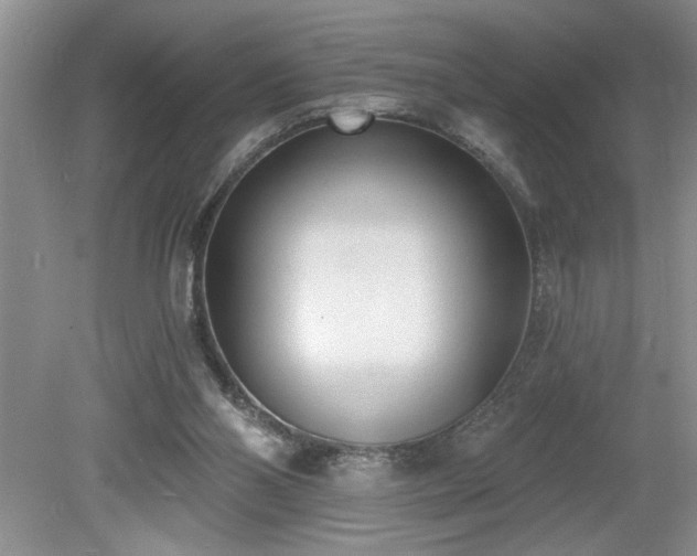 X0000080180110200612081411