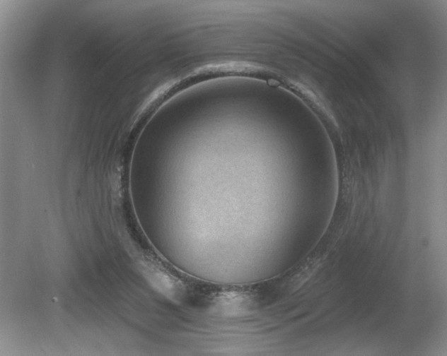 X0000080180111200612081411