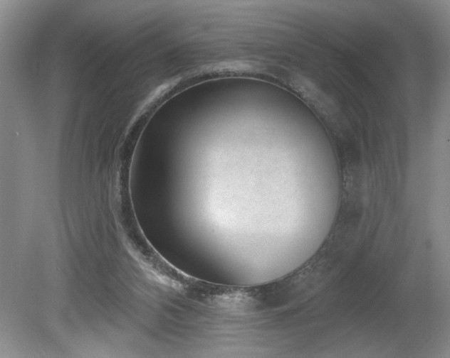 X0000080180112200612081411