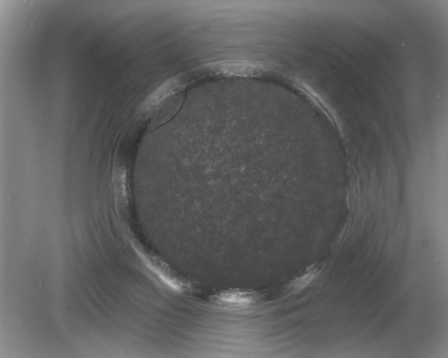 X0000080180117200612081411