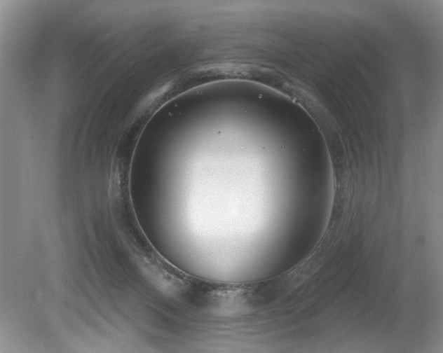 X0000080180120200612081411