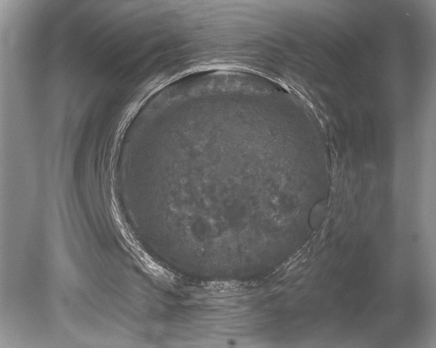 X0000080180145200612081410