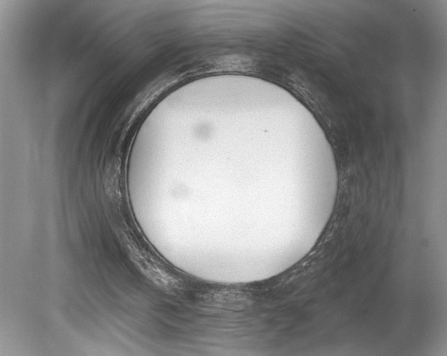 X0000080180146200612081410