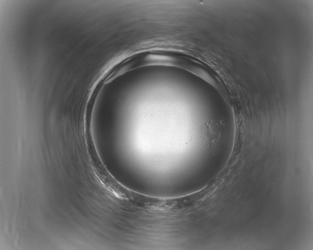 X0000080180148200612081410