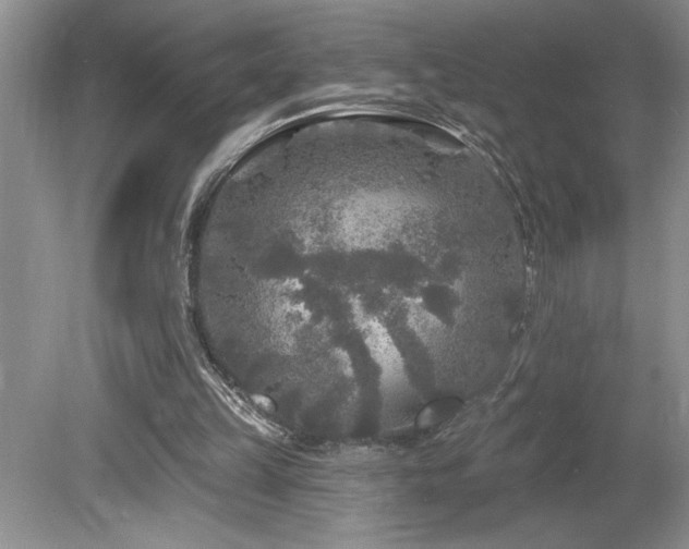 X0000080180149200612081410