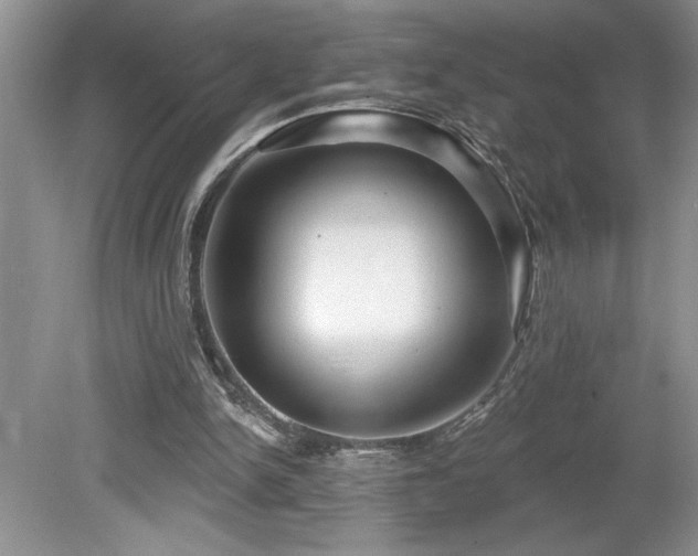 X0000080180150200612081410