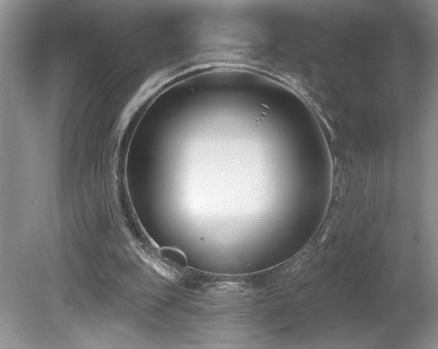 X0000080180151200612081410