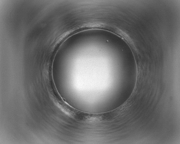 X0000080180155200612081410