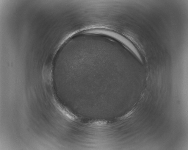 X0000080180156200612081410