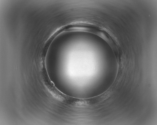 X0000080180160200612081410