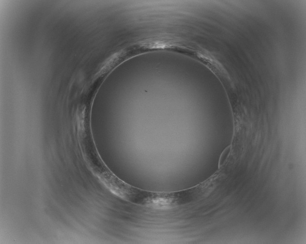 X0000080180163200612081410