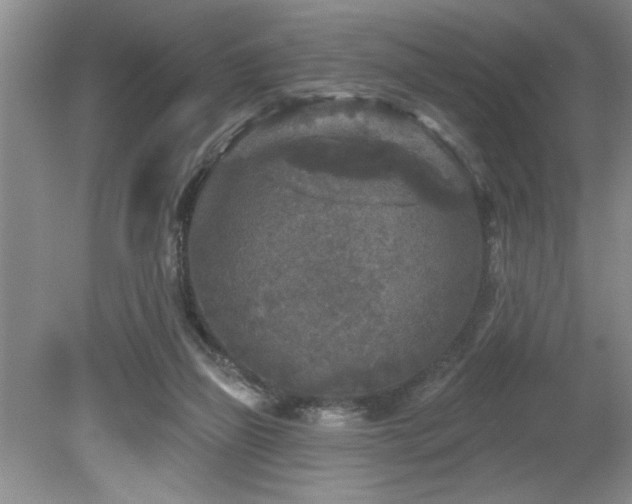 X0000080180165200612081410