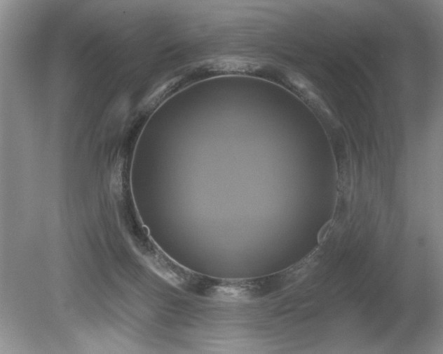 X0000080180167200612081410