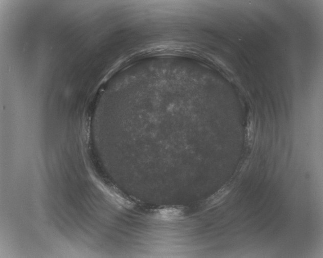 X0000080180168200612081410