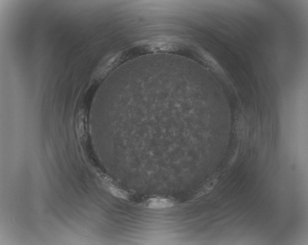 X0000080180169200612081410