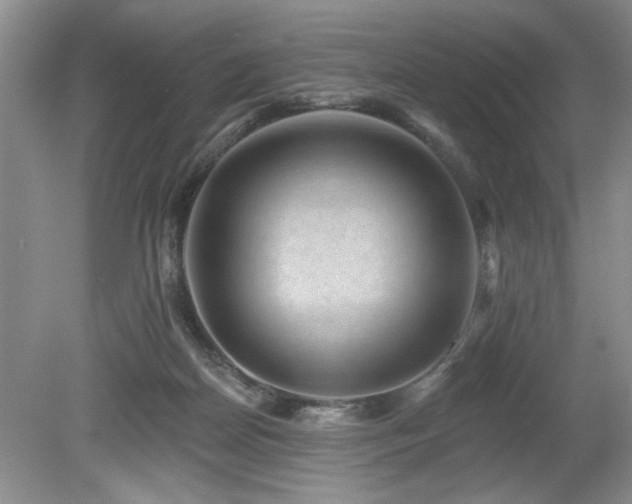 X0000080180170200612081410