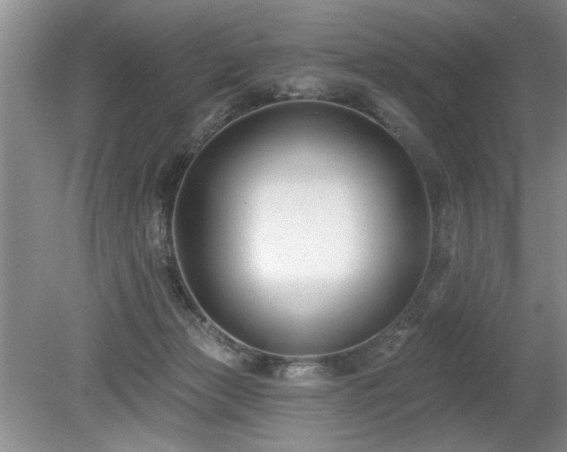 X0000080180173200612081410