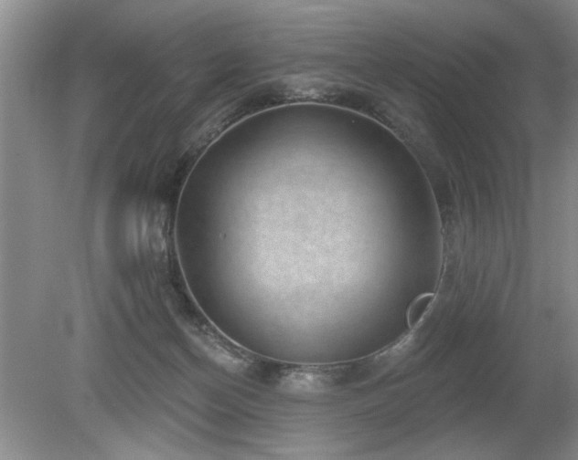 X0000080180174200612081410