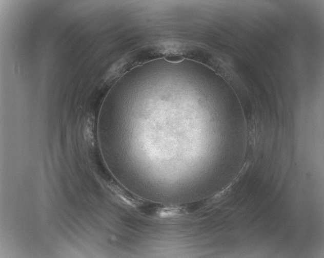 X0000080180175200612081410