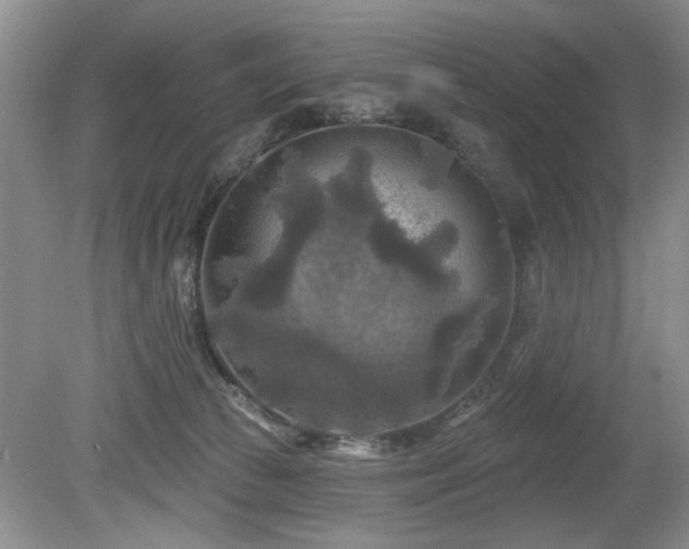 X0000080180177200612081410