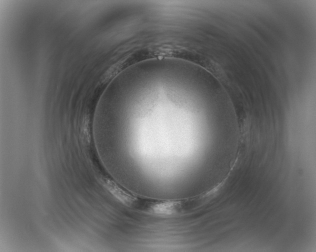 X0000080180178200612081410