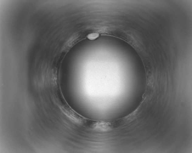 X0000080180179200612081411