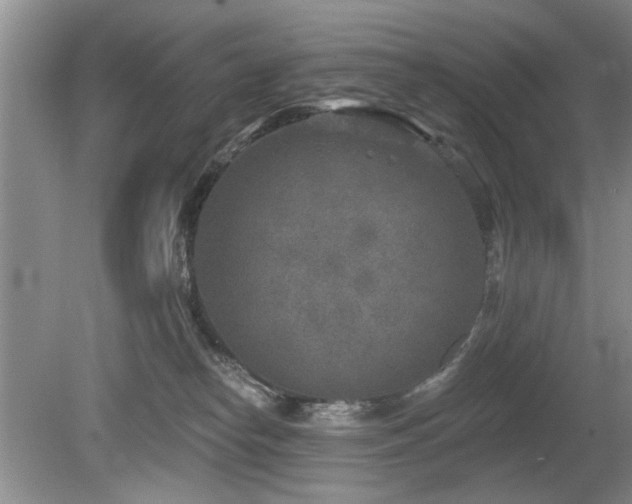 X0000080180182200612081411