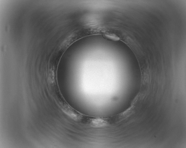 X0000080180183200612081411