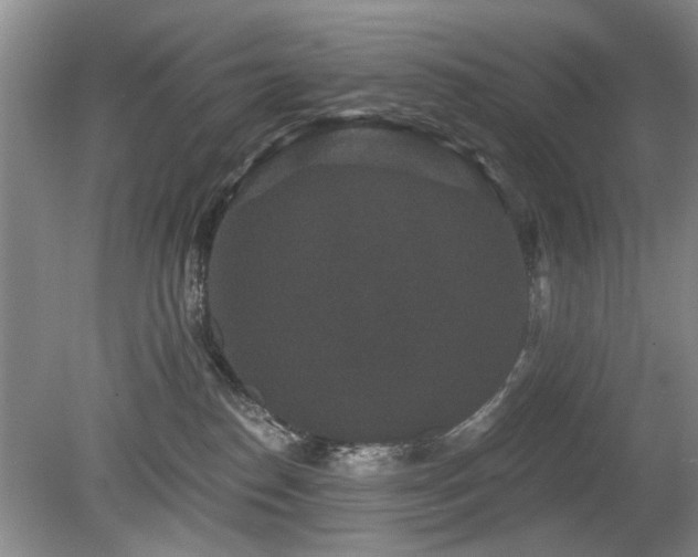 X0000080180186200612081411