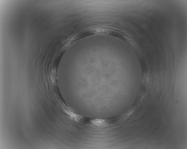 X0000080180189200612081411