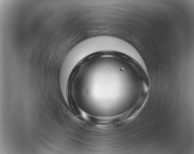 X0000080180190200612081411