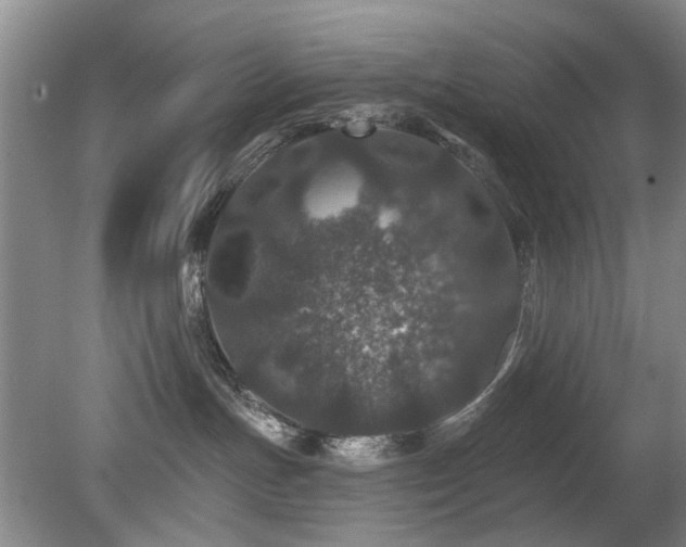 X0000080180191200612081411