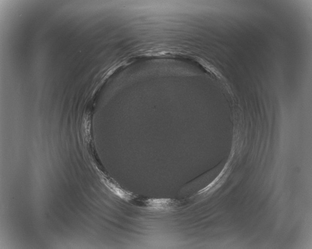 X0000080180192200612081411