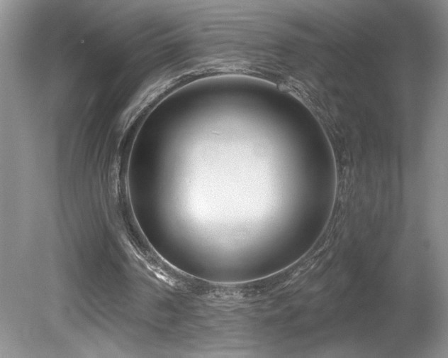 X0000080180194200612081410