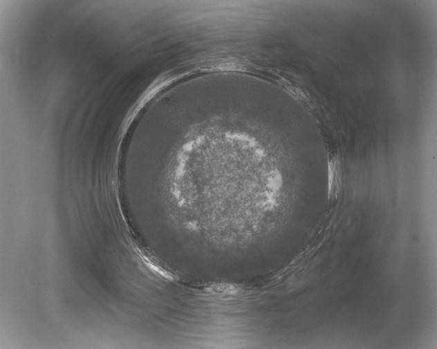 X0000080180195200612081410