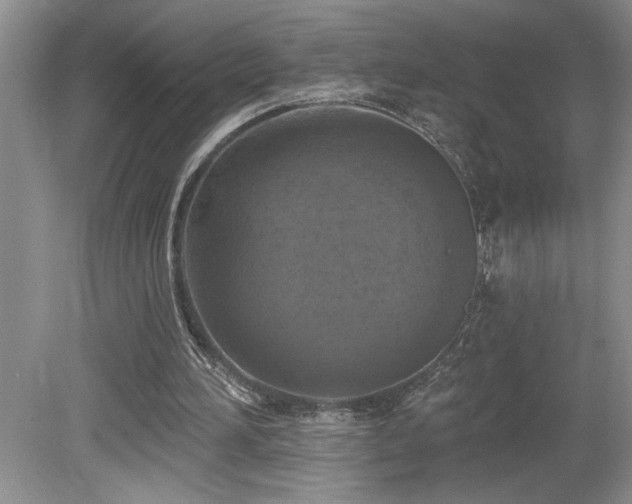 X0000080180196200612081410