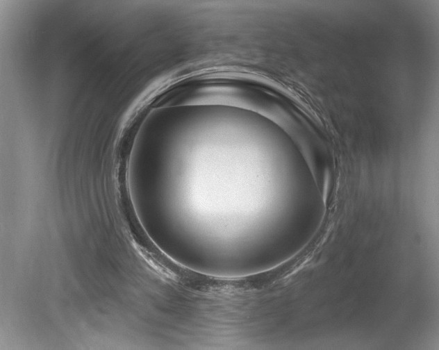 X0000080180197200612081410