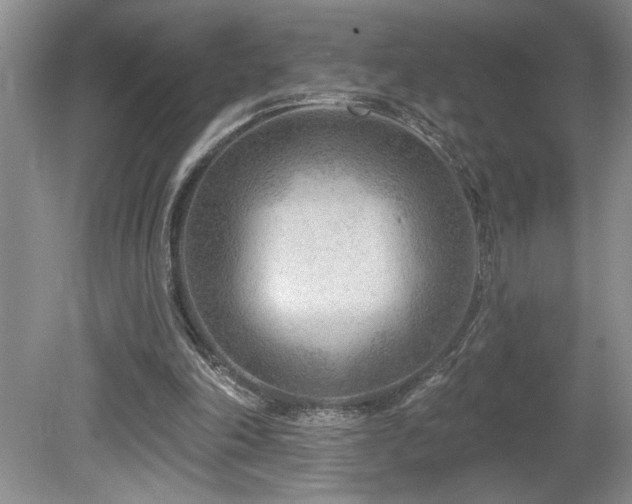 X0000080180198200612081410