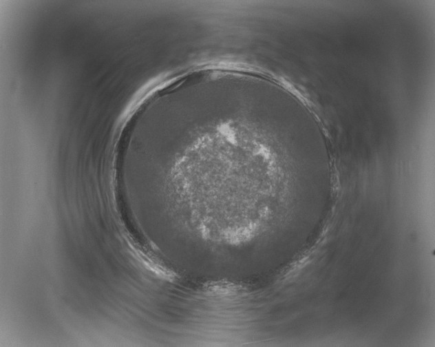 X0000080180199200612081410