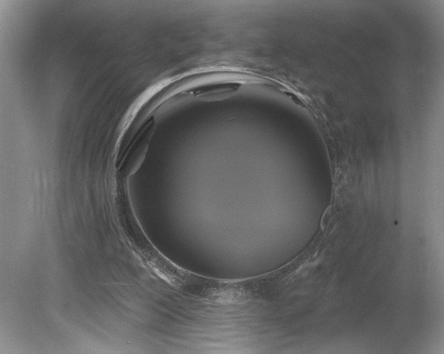 X0000080180200200612081410