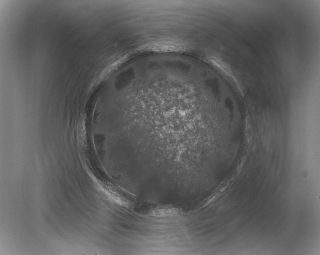 X0000080180202200612081410