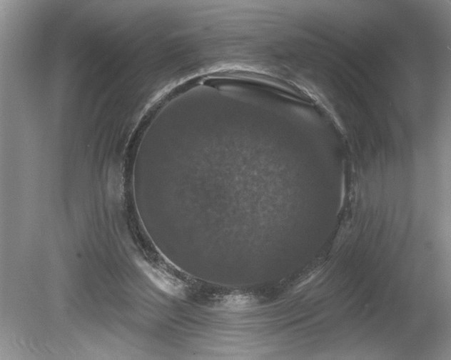 X0000080180204200612081410