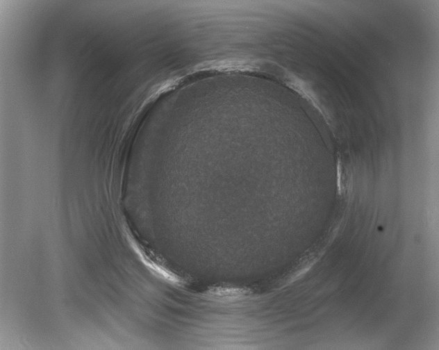 X0000080180205200612081410