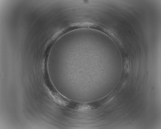 X0000080180206200612081410