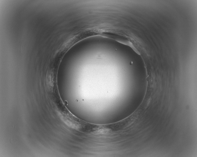 X0000080180210200612081410