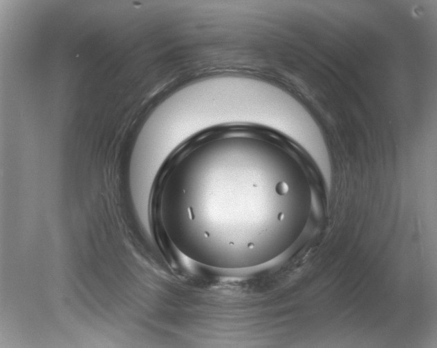 X0000080180211200612081410