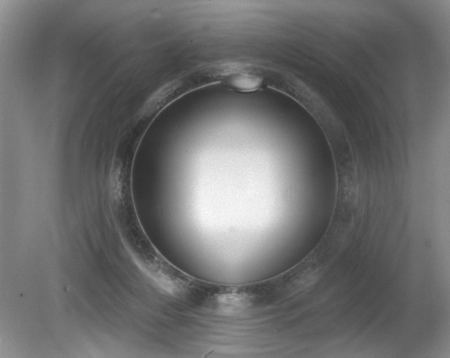 X0000080180216200612081410