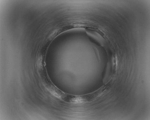 X0000080180219200612081409