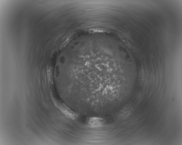 X0000080180222200612081409